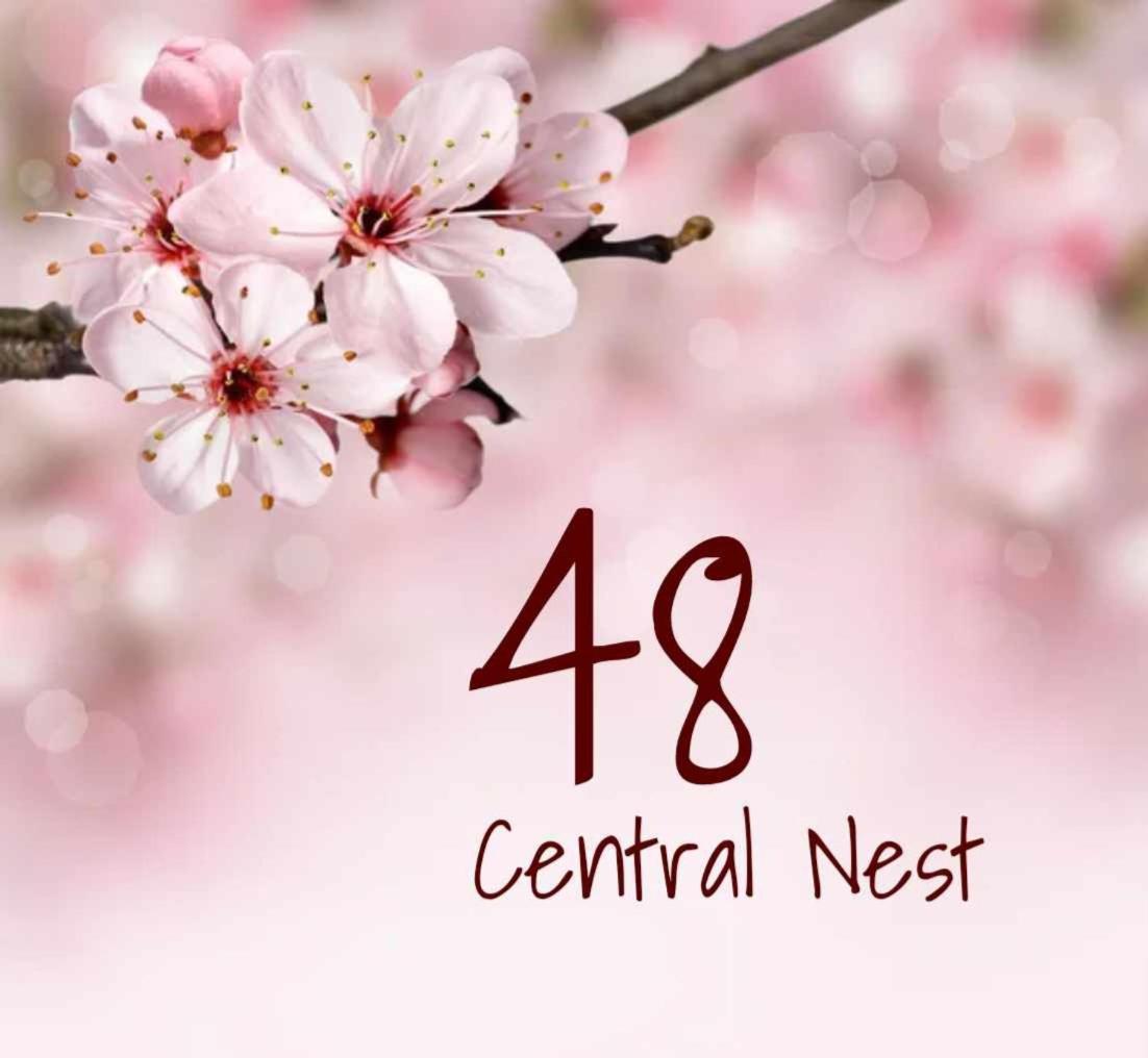 48 Nest Apartment *